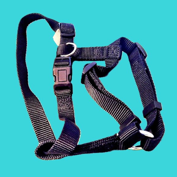 Small DOG Harness ~ No-Pull, H-Type, 5/8" Nylon Web-Strap ~ Adjustable 14"- 20" - Picture 8 of 11